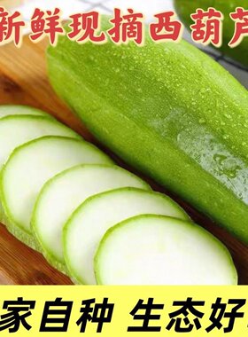 山东新鲜西葫芦小瓜农家瓜小南瓜茭瓜绿皮现摘当季蔬菜整箱包邮