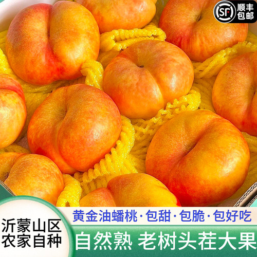【当天摘当天发】2026头茬蟠桃