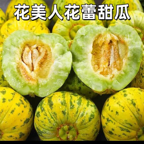2026头茬香瓜不甜不要钱