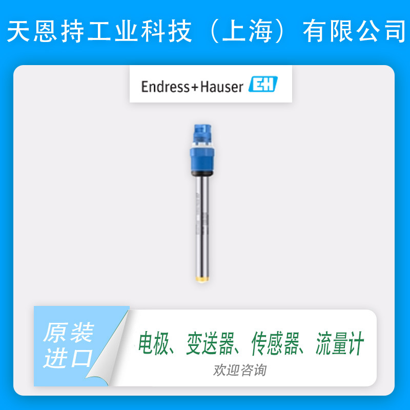 瑞士 E+H CPF82D-7PA11 电极 全新原装 质保无忧