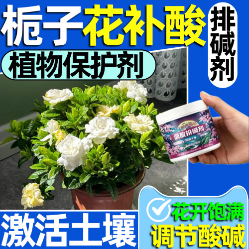 栀子花补酸排碱剂排激素专用肥料调节土壤酸碱度零酸二氢钾肥农用