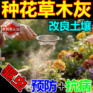 种花用的草木灰杀虫剂农用种菜花卉防止板结杀菌驱虫粉除土壤消毒
