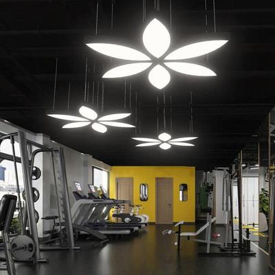 LD叶子造型办公室商场桌CKG球室健身灯房网灯咖超市工业风E组合吊