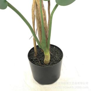 仿真龟绿植栽热带雨林仿真植物家VCF室背内装 饰客居厅盆盆栽假树