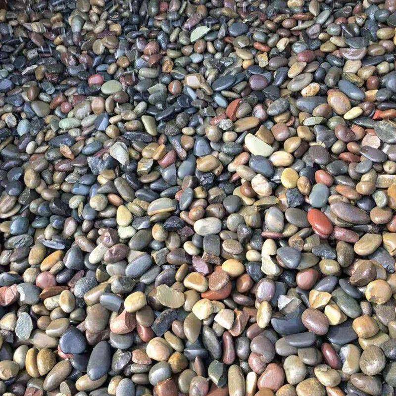 色鹅无品牌/卵石滤料厂家园杂林造景铺路鱼五彩雨花缸垫石底石子