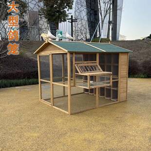 特大號(hào)鴿子籠養(yǎng)殖專(zhuān)用籠配對(duì)籠鴿子巢窩籠鴿棚家用鴿舍鴿子窩室外