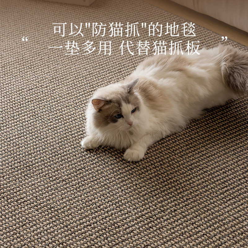 日式茶室地毯客厅2024新款摄影棚沙发卧室床边猫抓板地垫仿剑麻
