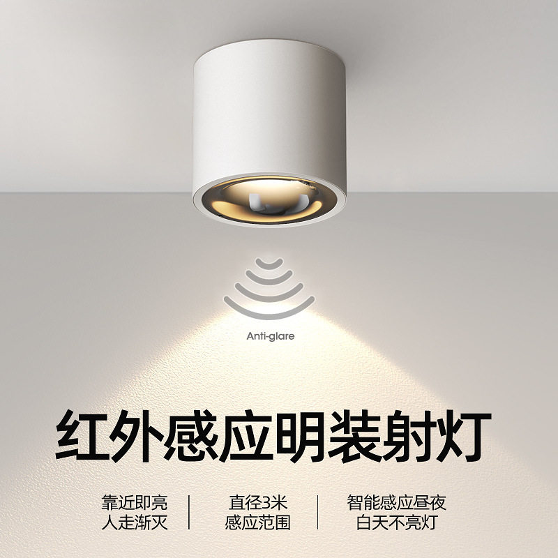 COB明装人体感应过道射灯