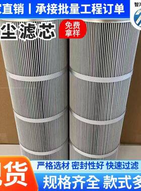 防静电芯不锈钢防腐除尘滤筒燃阻滤筒耐高温覆滤膜防静电空IEA气