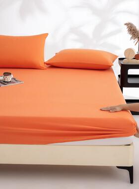 60支毛长绒棉床2025新款纯棉100全IAO棉全包磨床罩床笠垫护罩床保