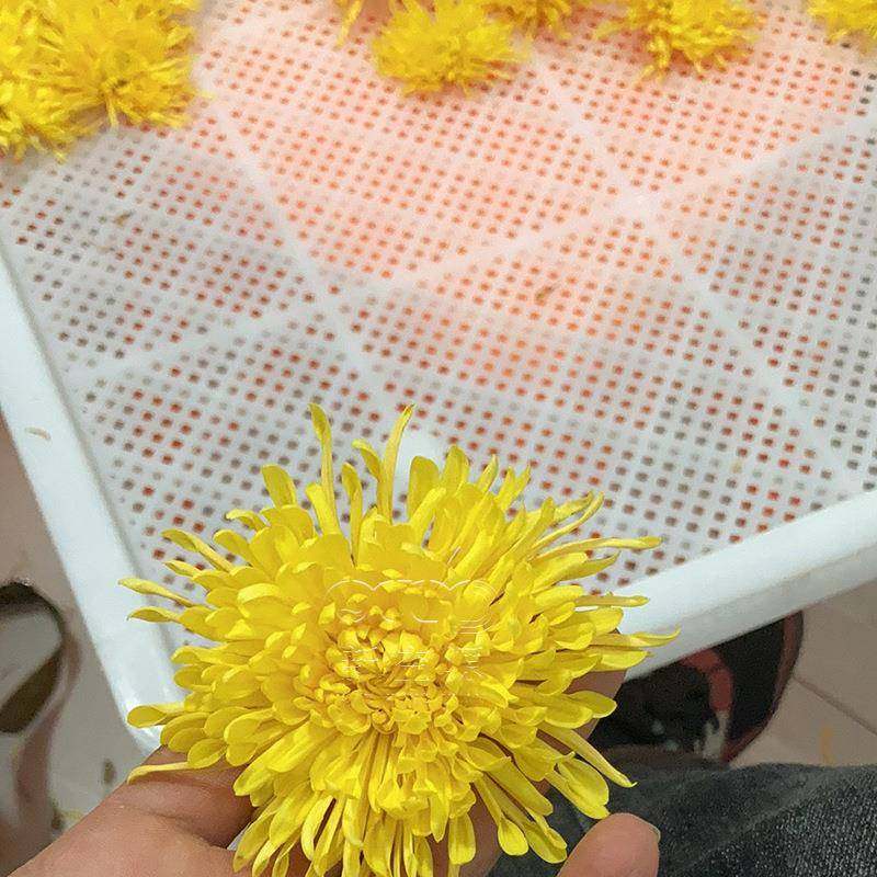 玲珑烘干机OVR丝皇菊干房烘空金气菊能花茶电烤房箱式干燥设备,机械设备,干燥机/干燥箱/烘干机,淘宝优惠券,粉丝福利购,淘宝优惠卷