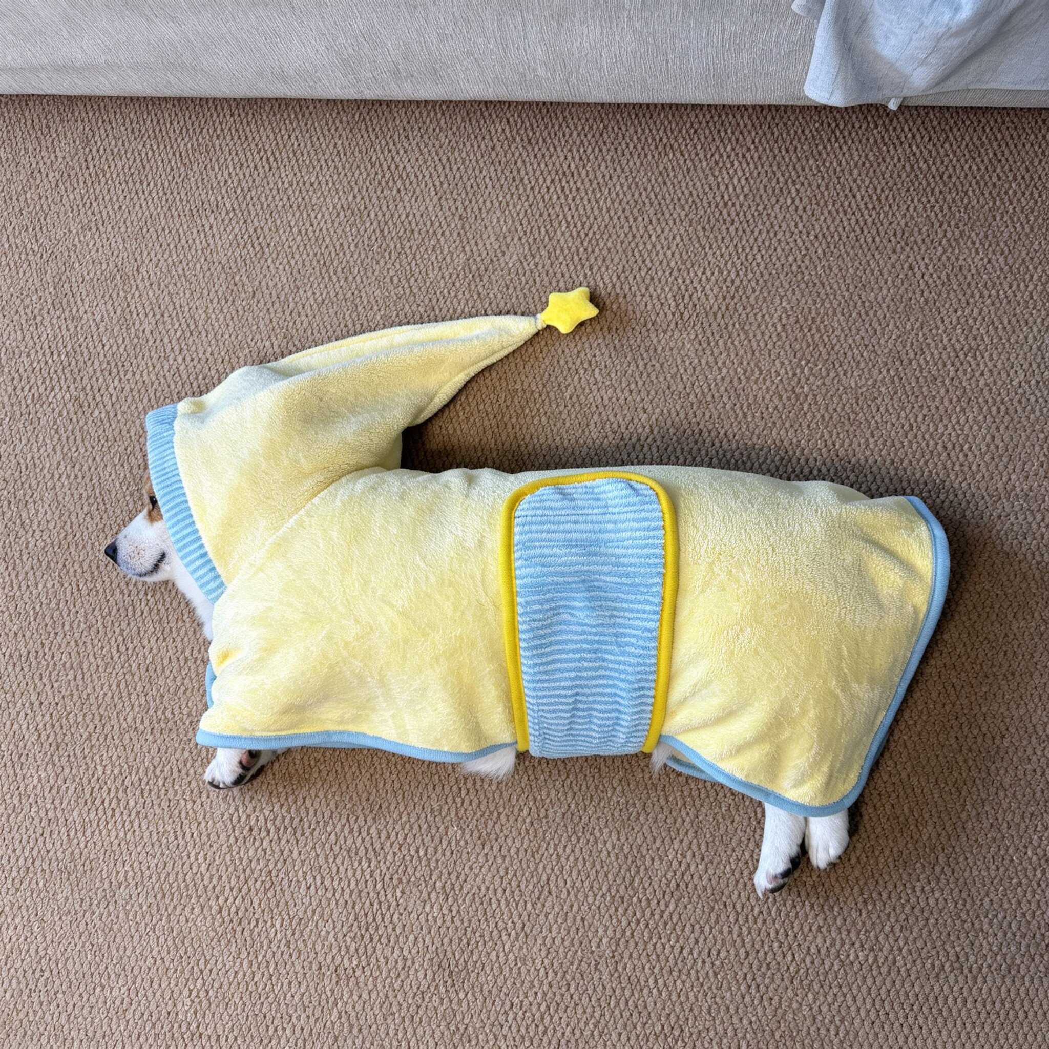 修勾出浴!狗狗浴巾宠物衣服小型
