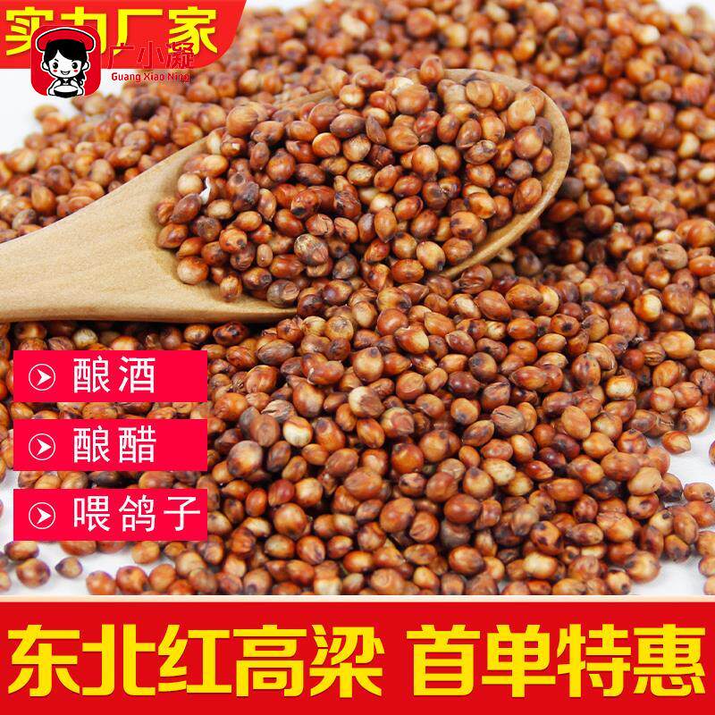 包邮新红高粱20斤带皮高粱10kg酿酒喂鸽子鸽粮食酿醋去壳高粱5斤