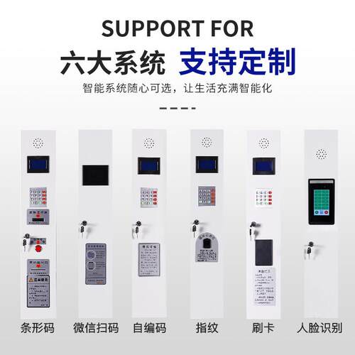 智能存包柜微信寄能存柜CX-ZNG-2人脸识别储码物柜超市柜条存包智