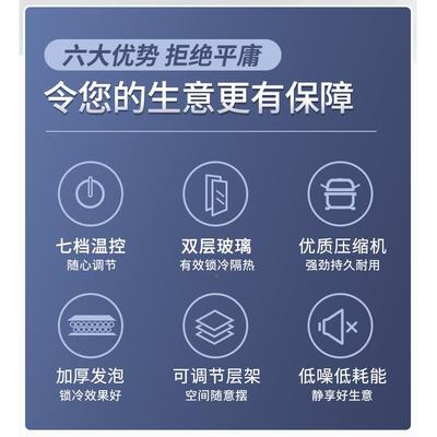 凌穗2LG4-20suiling/L立式冷柜冰柜 商用单温直冷双门饮料保鲜冷