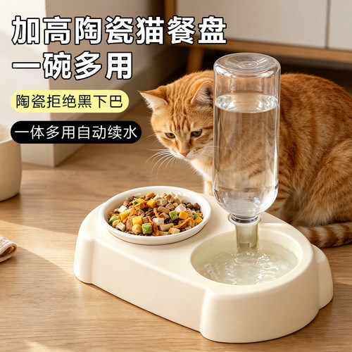 一体多用陶瓷猫碗宠物饮水喂食器