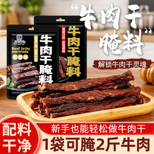 牛肉干腌制料腌肉干专用调料家庭自制五香麻辣风干猪肉干腌料包