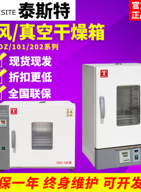 泰斯特WGLL-30BE/101-2AB电热真空鼓风干燥箱恒温烘箱实验室工业