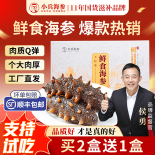 小兵海参【买2盒送1盒】鲜食即食海参官方旗舰店辽刺参独立包装