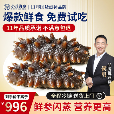小兵海参鲜食即食海参小兵海参官方旗舰店辽刺参化冻即食独立包装