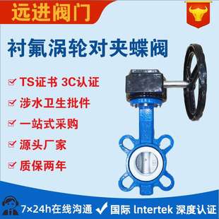 16Q 铸铁涡轮四氟对夹蝶阀D371F 半衬四氟软密封涡轮铸铁对夹蝶阀