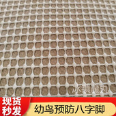 鹦鹉幼鸟用脚垫预防八字脚无毒无害出壳用漏屎垫不沾身防撞乳胶垫