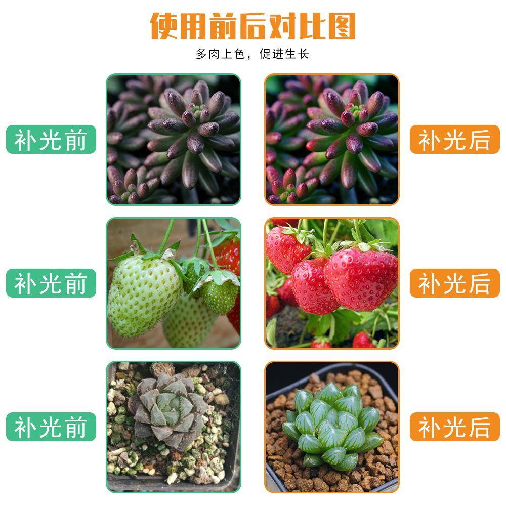 照明LED植物灯室内量光板植物子生长大NQB灯棚温室多肉补灯家用