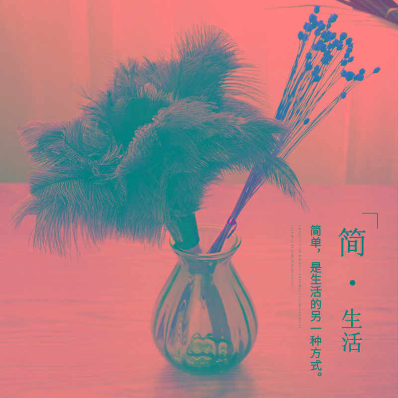 鸵鸟毛掸子 家用清洁不掉毛利器车用除尘加大加密 鸡毛掸子包邮