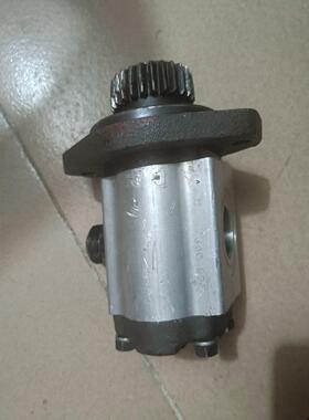 （议价）油泵齿轮泵P5A193