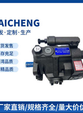 泰成TAICHENG 液压泵V15-FA3 V15A4R10X V23 V38柱塞油泵 液压泵