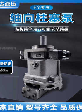 HY10/45/55/63/80/90/100/107/125/160/250Y-RP-LP津达液压柱塞泵