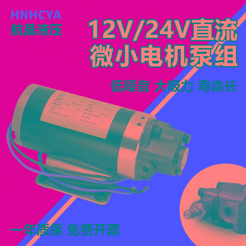 小型直流专用电机油泵DC12V/24V 12A13A齿轮油泵电动摆线泵三角泵