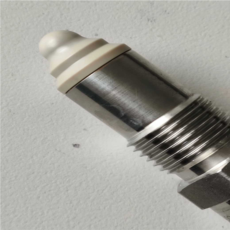 议~德国赛立 SELI 液位传感器 型号:SGS-02-11-S