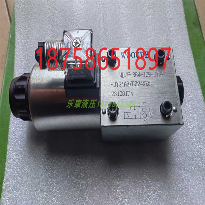 WOOUDE电磁阀WDJF-SB4-6B-DY2-PTCW220RWZ5L WDJF-SB4-6BCG24NZ5L