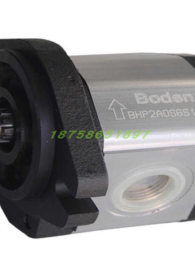 齿轮泵BHP2A0D14H2Z13-R/BHP2A0D16/D20/D25/D28/D36/D10后进后出