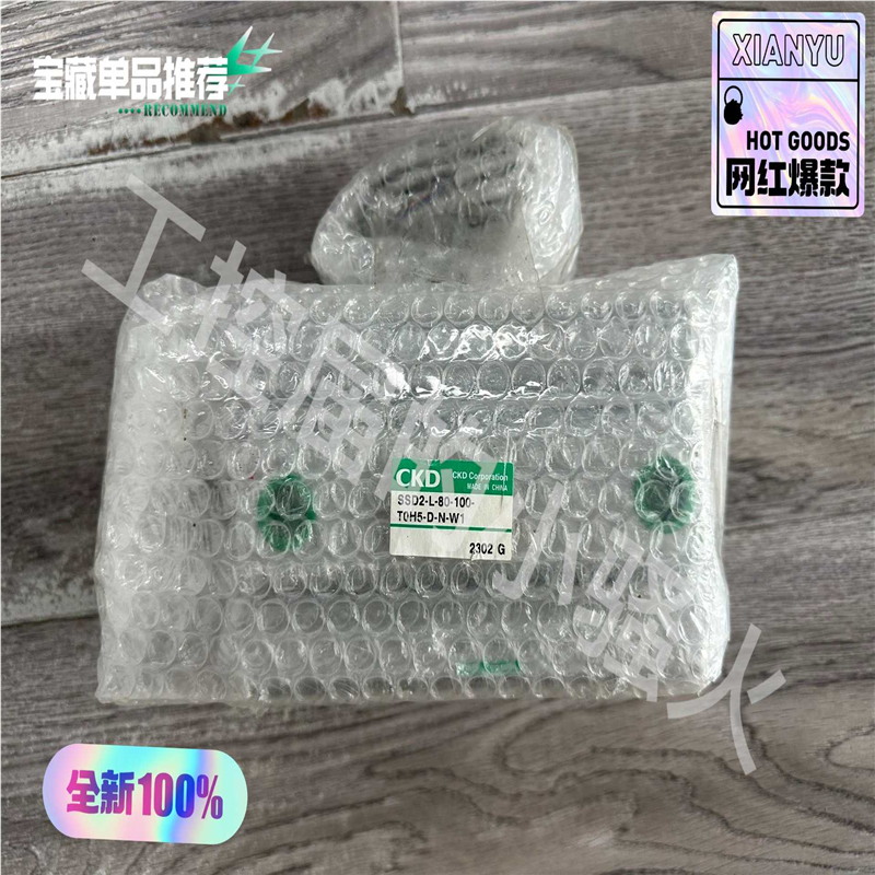 CKD气缸SSD2-L-80-100-T0H5-D-N-W1(崽崽配件）