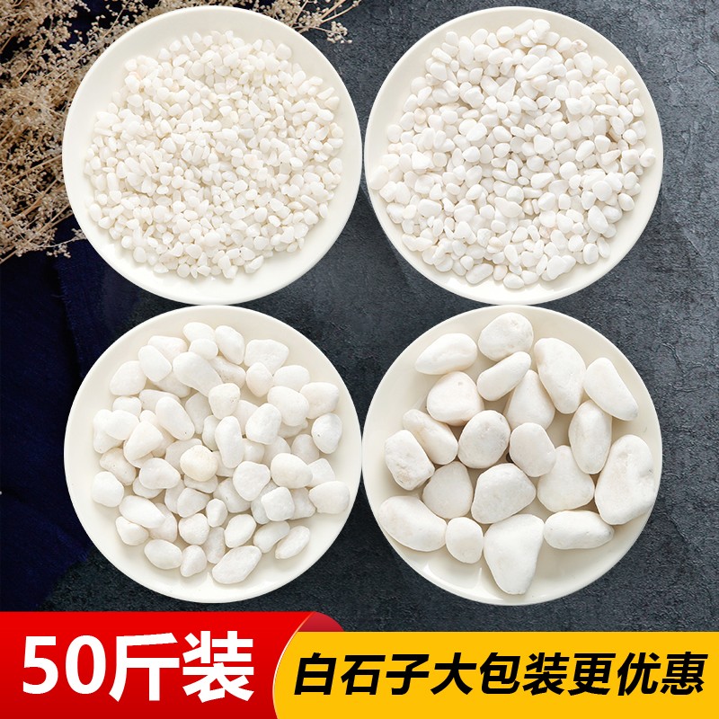 小白石子鹅卵石多肉铺面园艺盆栽造景庭院铺路铺地枯山水白色石头