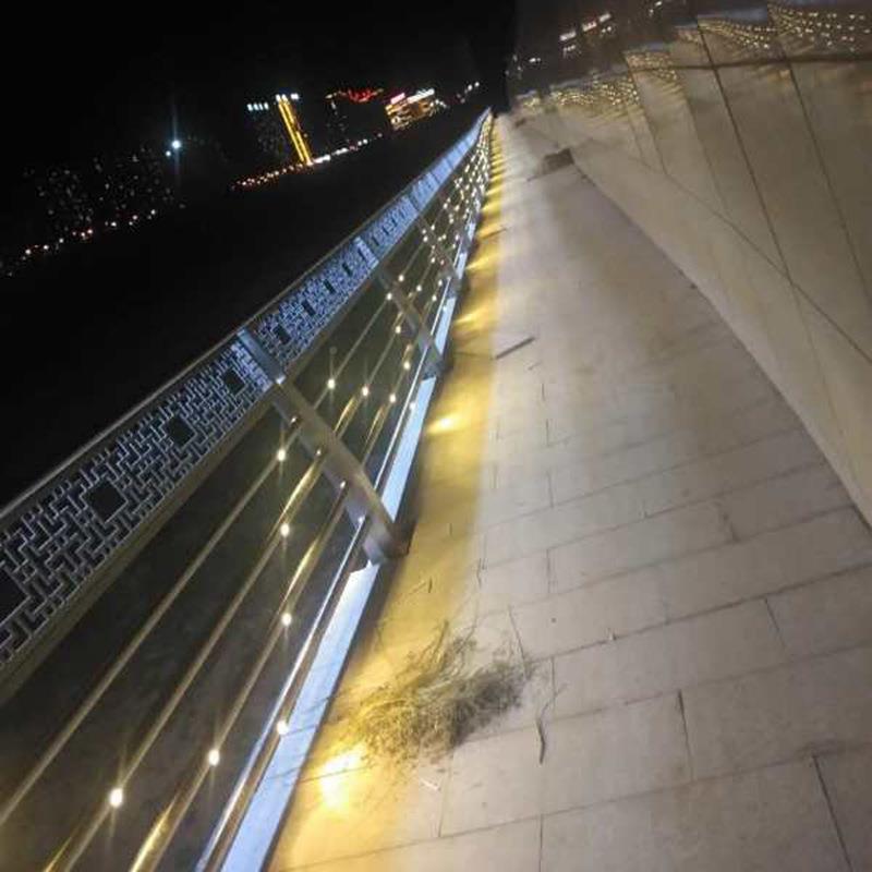 铝合金灯光桥区梁护栏河道景区景灯光栏市护公路09观LED灯光护栏