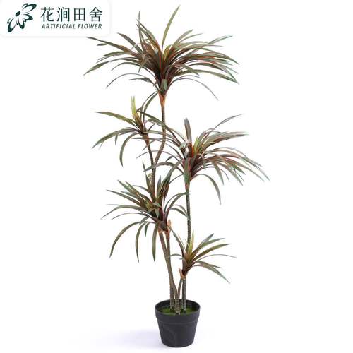 仿真龙血铁龙JOT树绿植盆栽装饰景人造热带植物景观造假树木须植