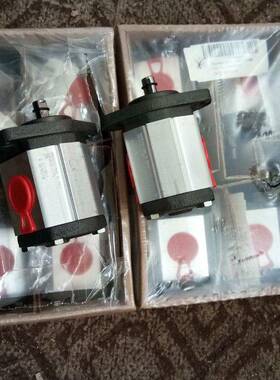 GHPA祖2--25+GDHPI-BCAD-25+G2HPP2-D-25双联齿轮泵MARZOCCHI马奇