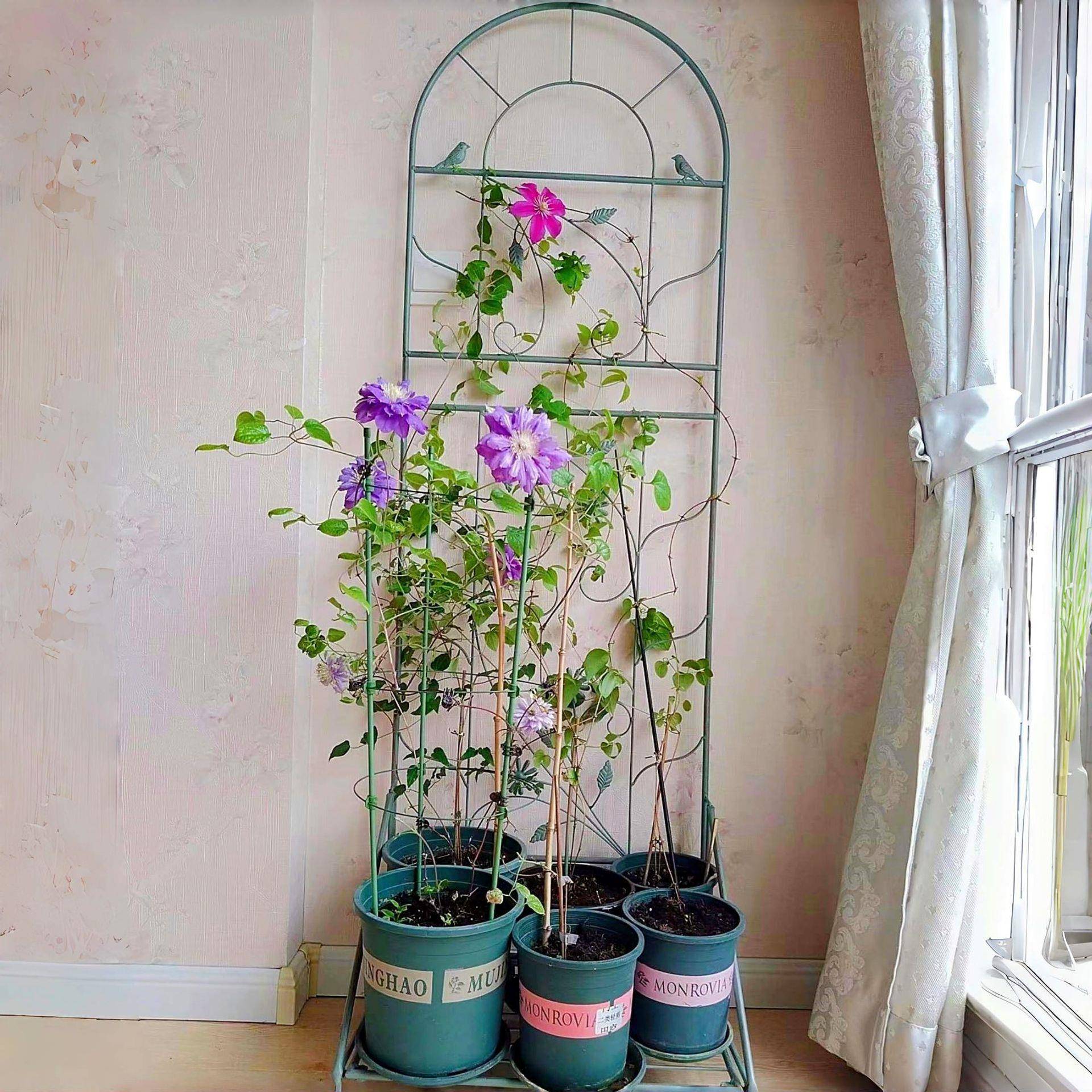 落地式带底座铁艺铁HM2226花架花件起批户外园庭院线莲爬一藤架盆