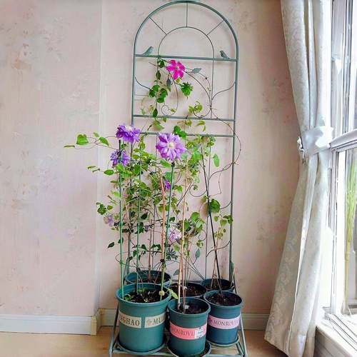 落地式带底座铁艺铁HM2226花架花件起批户外园庭院线莲爬一藤架盆