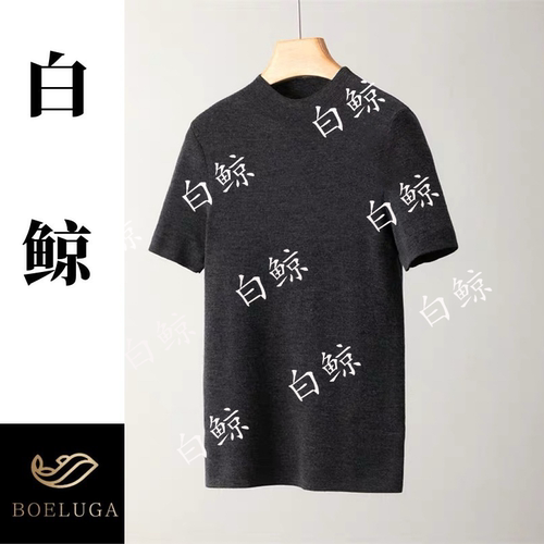 2025新款秋冬圆领短袖套头时尚百搭宽松休闲2674