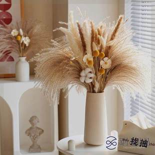 天然风干植物兔尾草芦苇干花花束高级感真花居家玄关客厅摆设花瓶