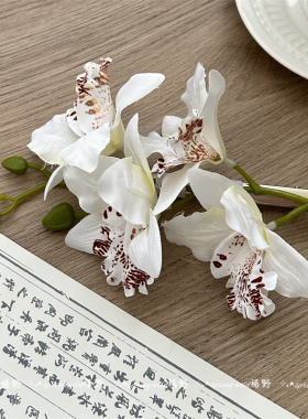 氛围感白色立体百合花发夹女森系温柔白色甜美侧边夹清新小众发饰