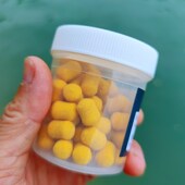 欧式 国际钓法飞j德钓欧鲤钓上浮反底钓微浮平衡胶囊哑铃浮力丸饵