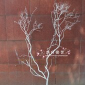 干树枝干枝干树枯树装 饰 饰白色树摆件树杆仿真O树枝假树枝道具装