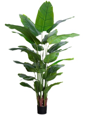 仿真绿色植物侘寂风植物落s地假盆栽客厅仿生花艺摆件大型室内树