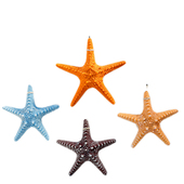 海星装 饰品地中海仿真海s星墙面装 饰创意挂饰摆件婚庆道具挂件大