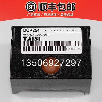 DQK254原装程控器LMG21.384A171台思TAISI程序控制器LOG25.130B28